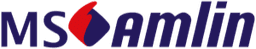 MSIG
